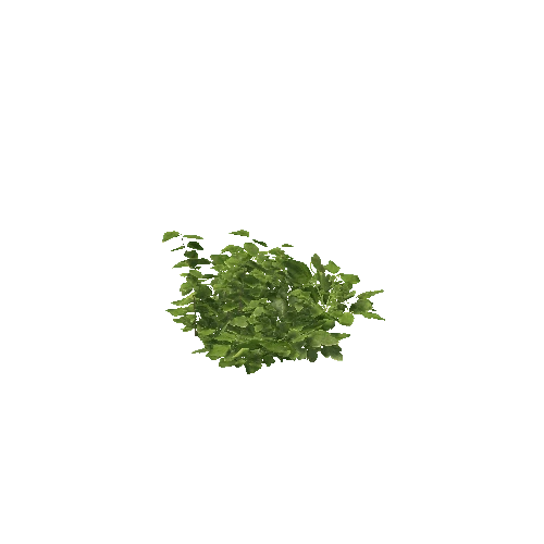 Plant 40_LOD_0